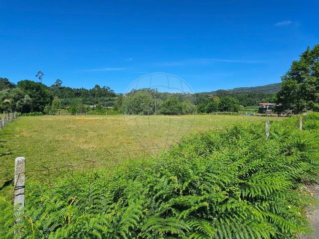 Terreno venda em Burgueta, São Pedro Do Sul