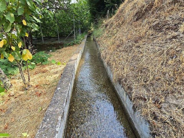 Terreno venda em Manteigas (São Pedro), Manteigas