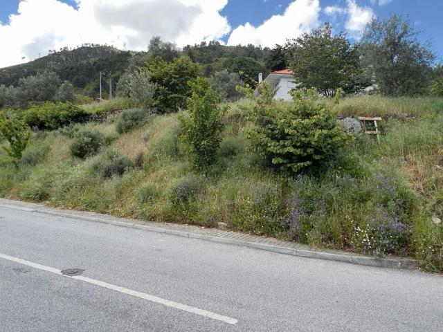 Terreno venda em Manteigas (São Pedro), Manteigas