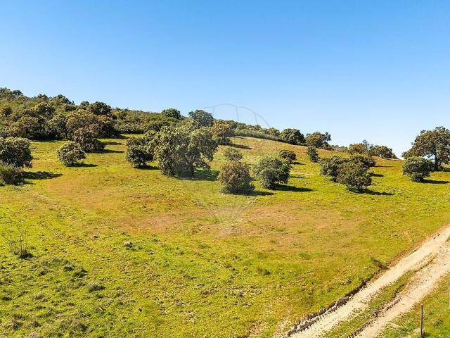 Terreno venda em Aldeia, Terena (São Pedro)