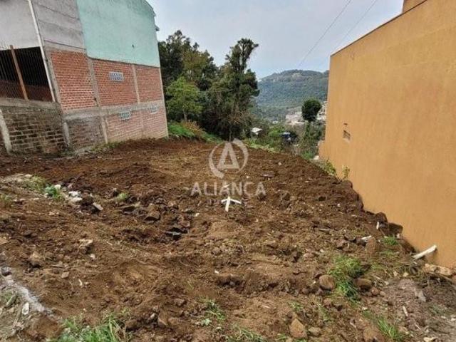 Terreno venda em Região Geográfica Imediata de Bento Gonçalves, Bento Gonçalves