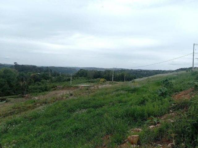 Terreno venda em Região Geográfica Imediata de Bento Gonçalves, Bento Gonçalves