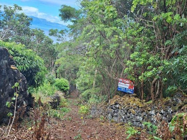 Terreno venda em Prainha, São Roque do Pico