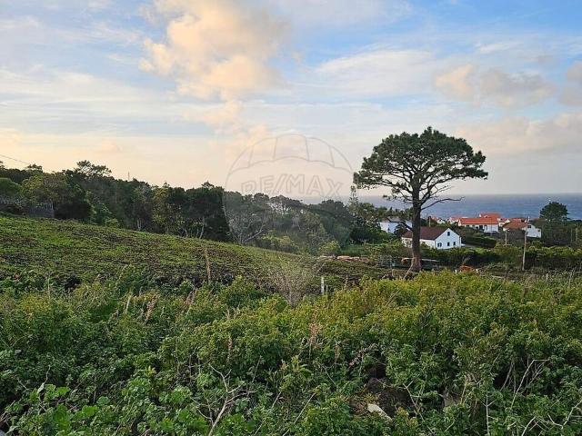 Terreno venda em São Roque do Pico