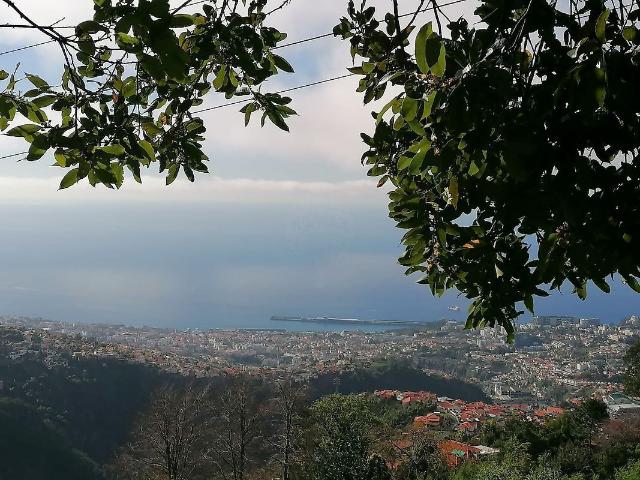 Terreno venda em Cova, Funchal