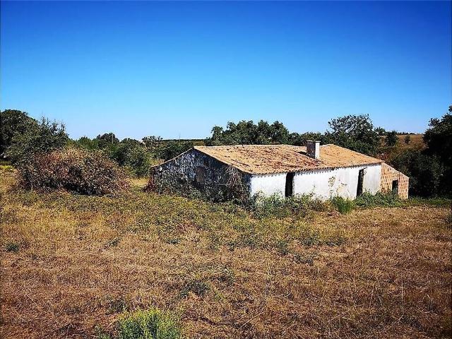 Terreno venda em São Teotónio, Odemira