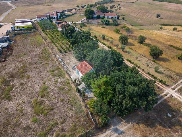 Terreno venda em São Vicente do Paul, Santarém
