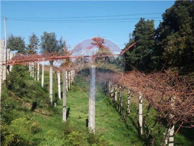 Terreno venda em Sabadim, Arcos de Valdevez