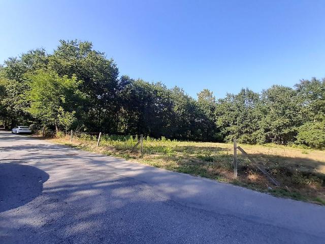Terreno venda em Sabariz, Vila Verde
