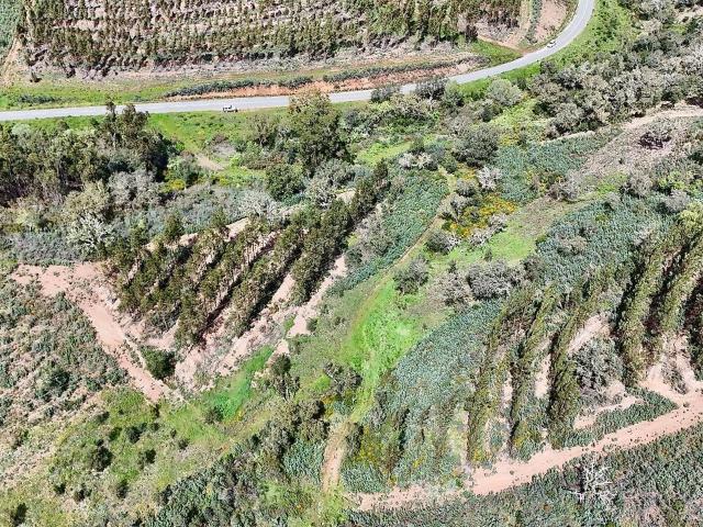 Terreno venda em Cerro de Estômbar, Odemira
