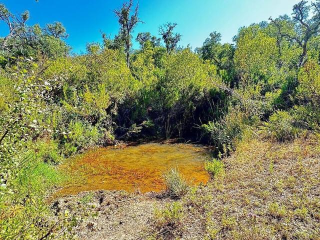 Terreno venda em Barranco Bravo, Odemira