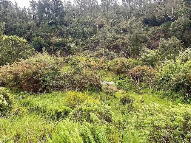 Terreno venda em Saboia, Odemira
