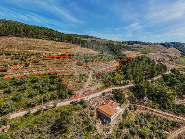 Terreno venda em Sabrosa, Vila Real