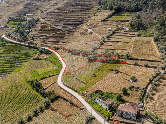 Terreno venda em Sabrosa, Vila Real