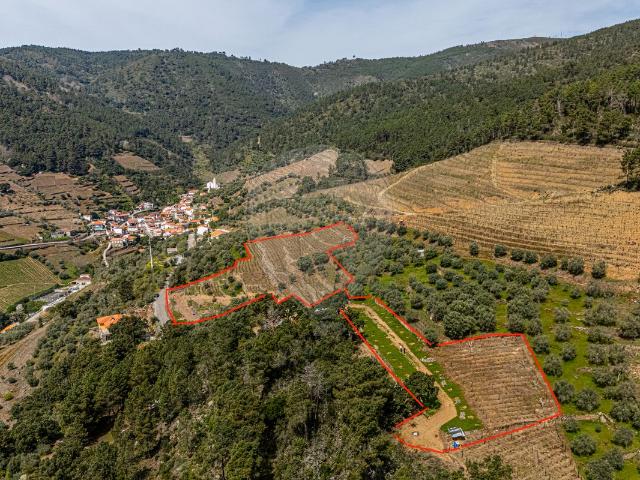 Terreno venda em Sabrosa, Vila Real