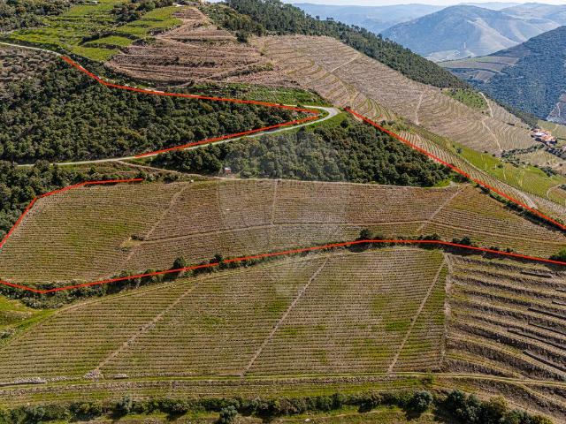 Terreno venda em Sabrosa, Vila Real