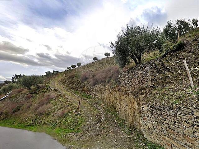 Terreno venda em Alijó, Vila Real