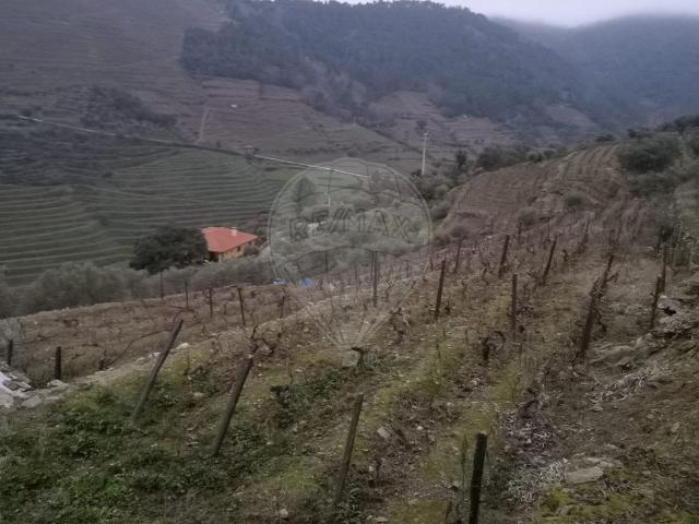 Terreno venda em Sabrosa, Vila Real