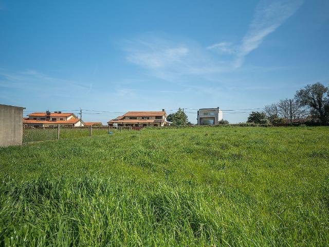 Terreno venda em Salreu, Estarreja