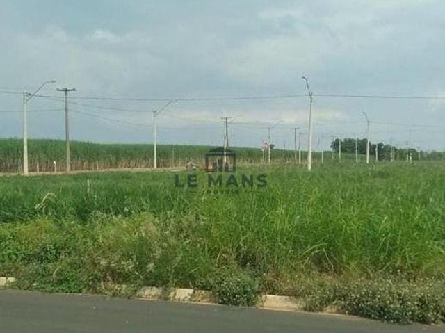 Terreno venda em Saltinho