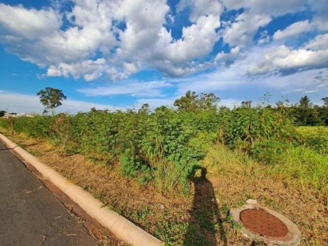 Terreno venda em Saltinho