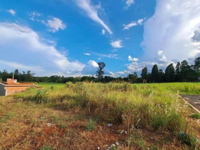 Terreno venda em Saltinho