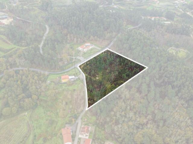 Terreno venda em Amarante, Porto