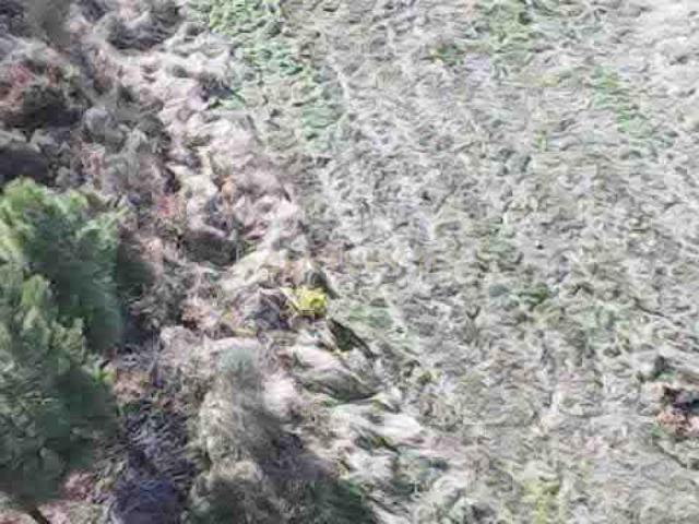 Terreno venda em Vila Flor, Bragança