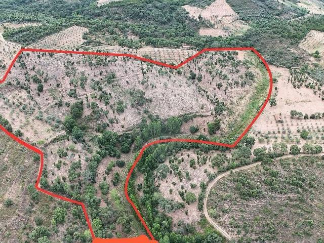 Terreno venda em Sambade, Alfândega da Fé