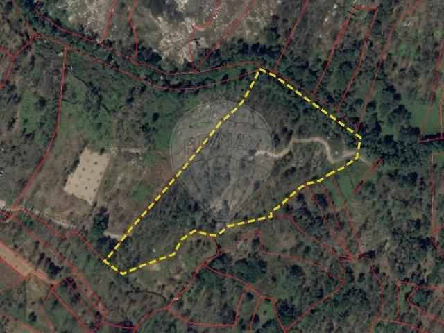 Terreno venda em Sameice e Santa Eulália, Seia