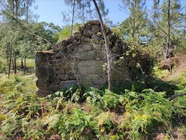 Terreno venda em Loureiro, Sande e São Lourenço do Douro
