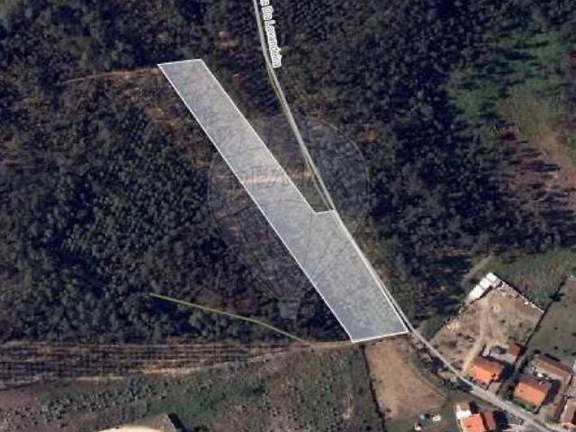 Terreno venda em Sangalhos, Anadia