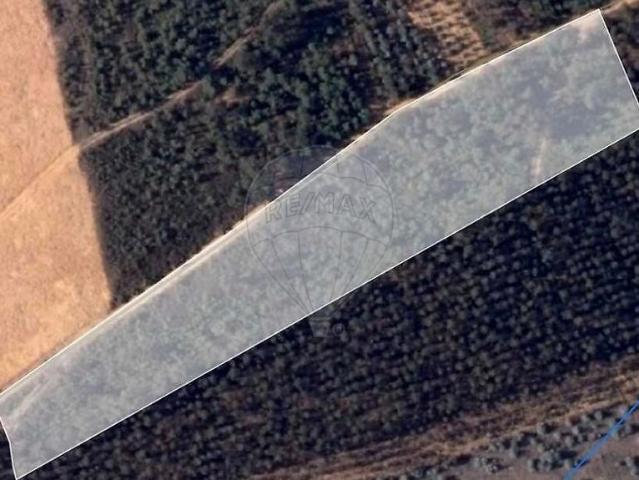 Terreno venda em Sangalhos, Anadia
