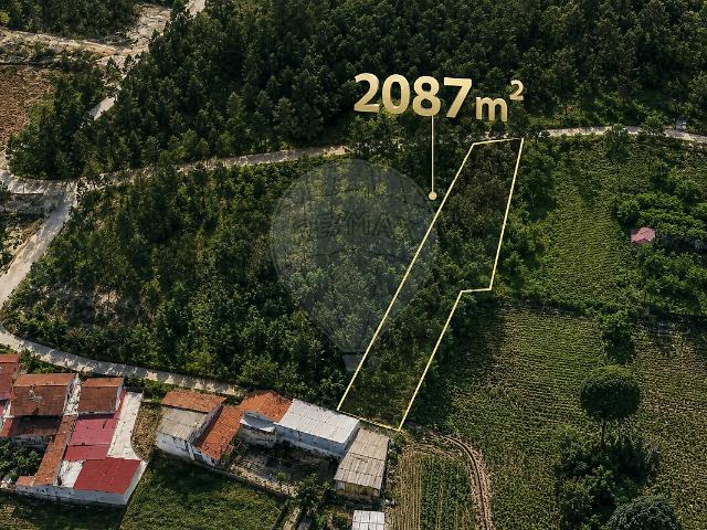 Terreno venda em Sangalhos, Anadia