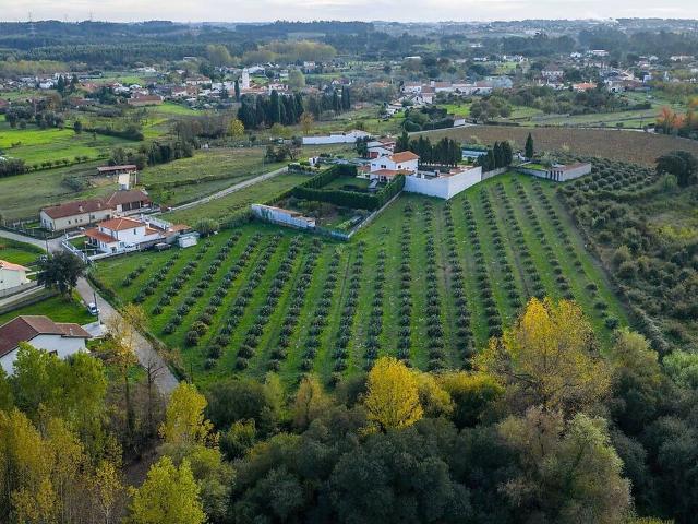Terreno venda em Sangalhos, Anadia