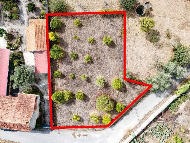 Terreno venda em Cantanhede, Coimbra