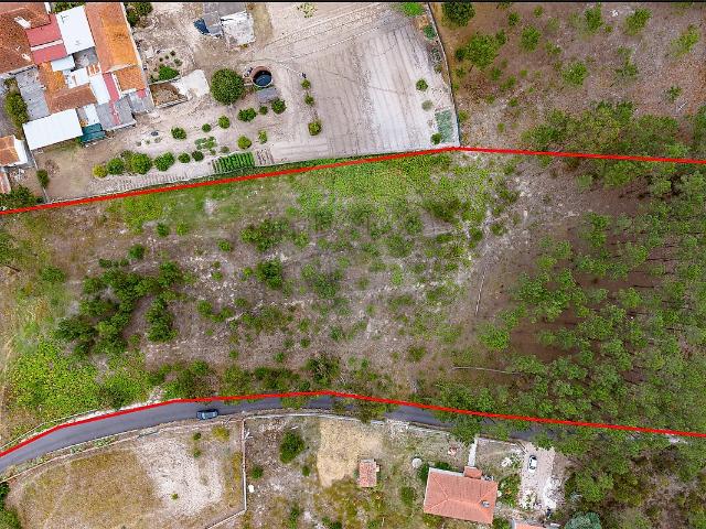 Terreno venda em Sanguinheira, Cantanhede