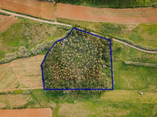 Terreno venda em Santa Bárbara, Lourinhã