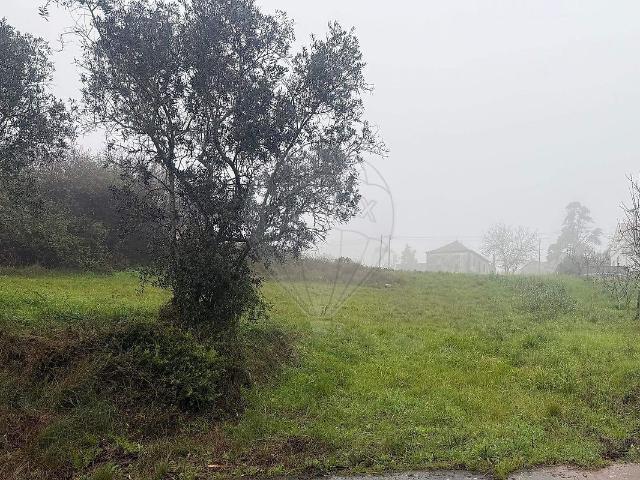 Terreno venda em Santa Catarina, Caldas da Rainha
