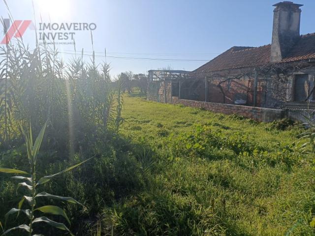 Terreno venda em Rines, Ponte De Vagos