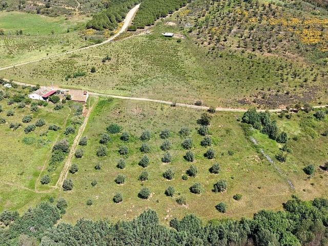 Terreno venda em Santa Clara-a-Velha, Odemira