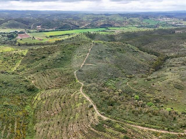 Terreno venda em Santa Clara-a-Velha, Odemira