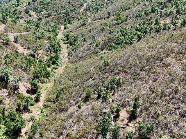 Terreno venda em Saboia, Odemira