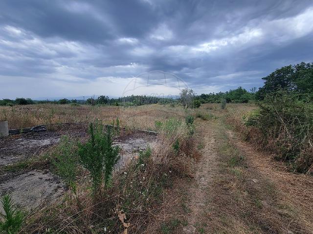 Terreno venda em Rojão Grande, Couto Do Mosteiro