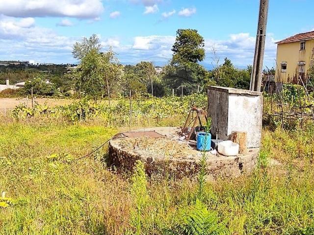Terreno venda em Vila de Barba, Santa Comba Dão