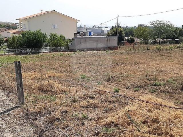 Terreno venda em Gestosa, Santa Comba Dão