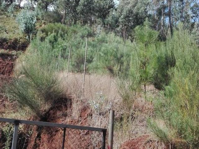 Terreno venda em Santa Cruz, Ilha Da Madeira