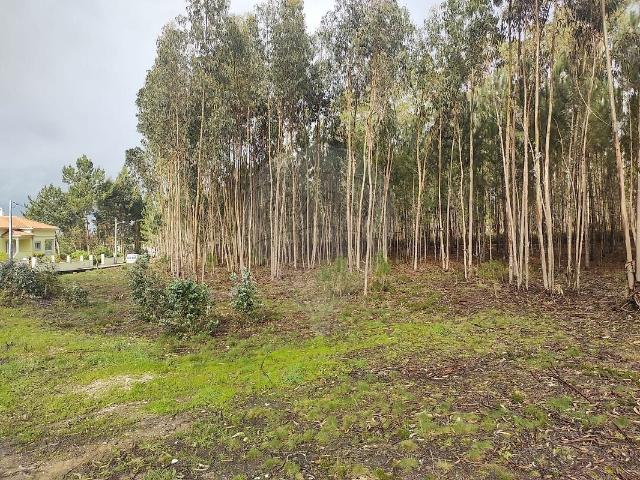 Terreno venda em Santa Eufémia e Boa Vista, Leiria