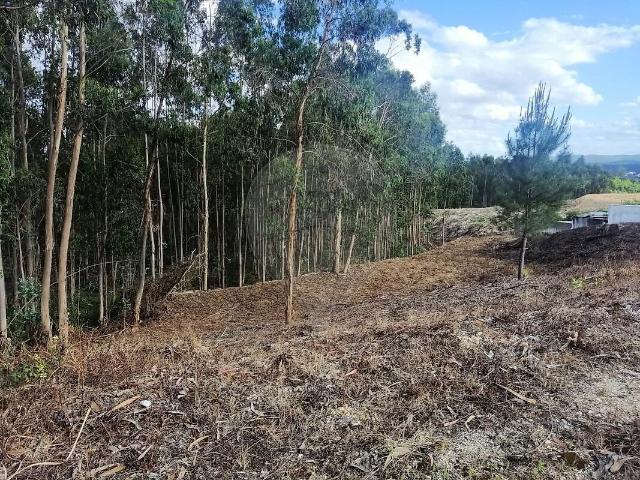 Terreno venda em Santa Eufémia e Boa Vista, Leiria