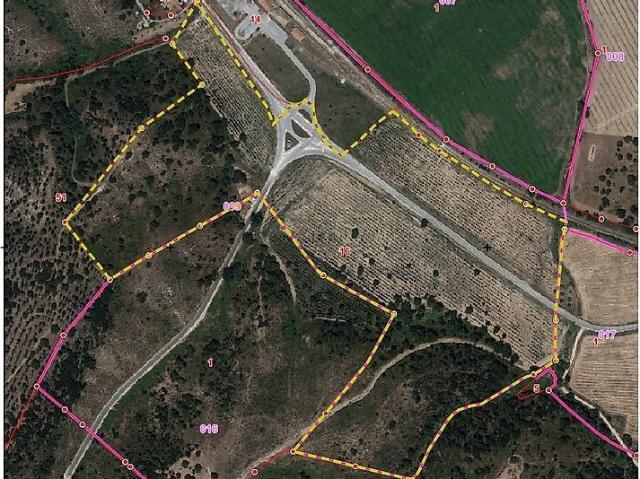 Terreno venda em Santa Margarida da Coutada, Constância